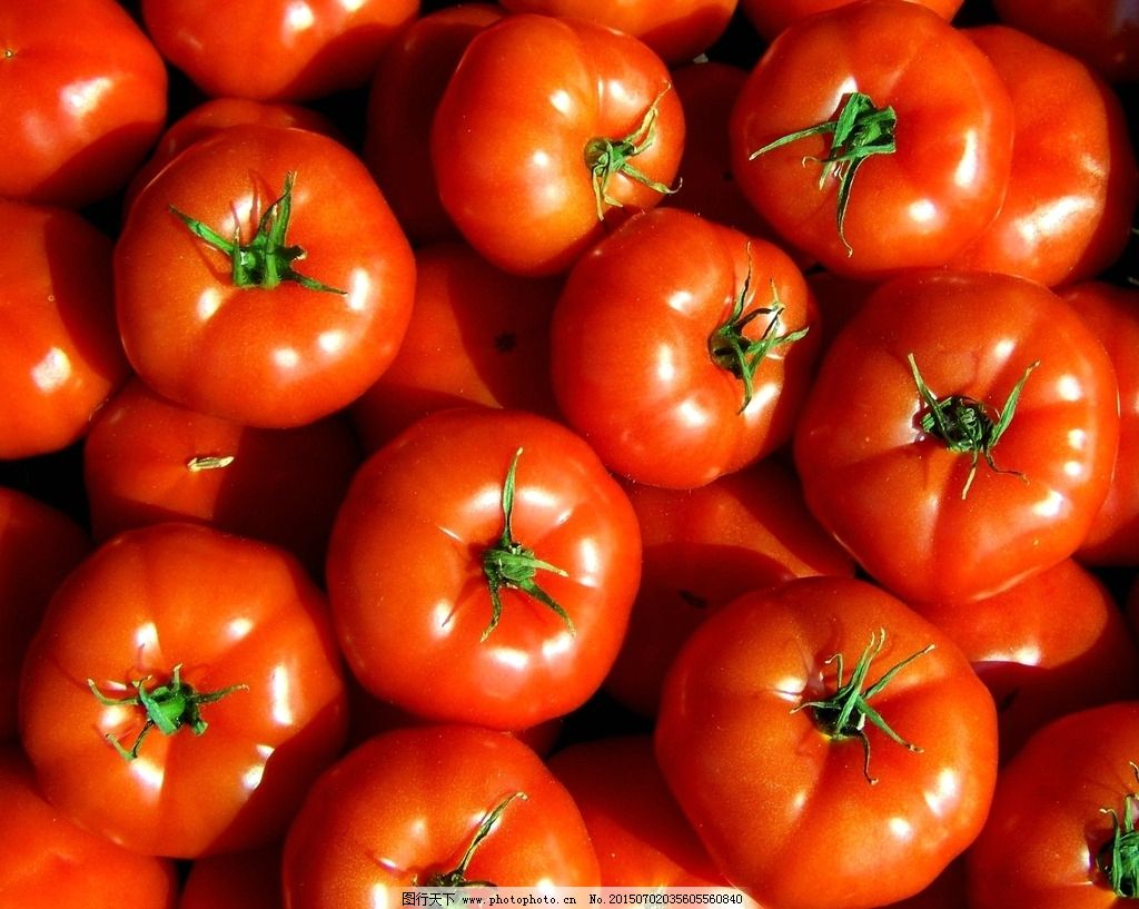 西红柿图片,番茄 果蔬 水果 新鲜水果 小西红柿 小番茄-图行天下图库
