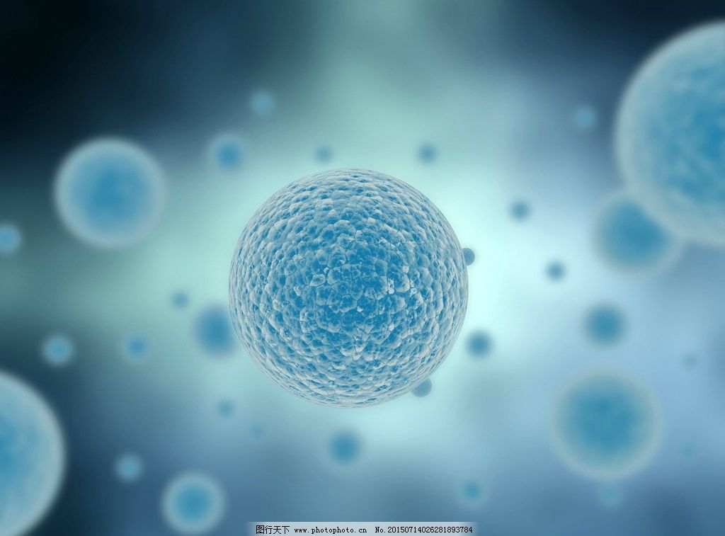 细胞营养图矢量图矢量素材|关键词:染色体和细