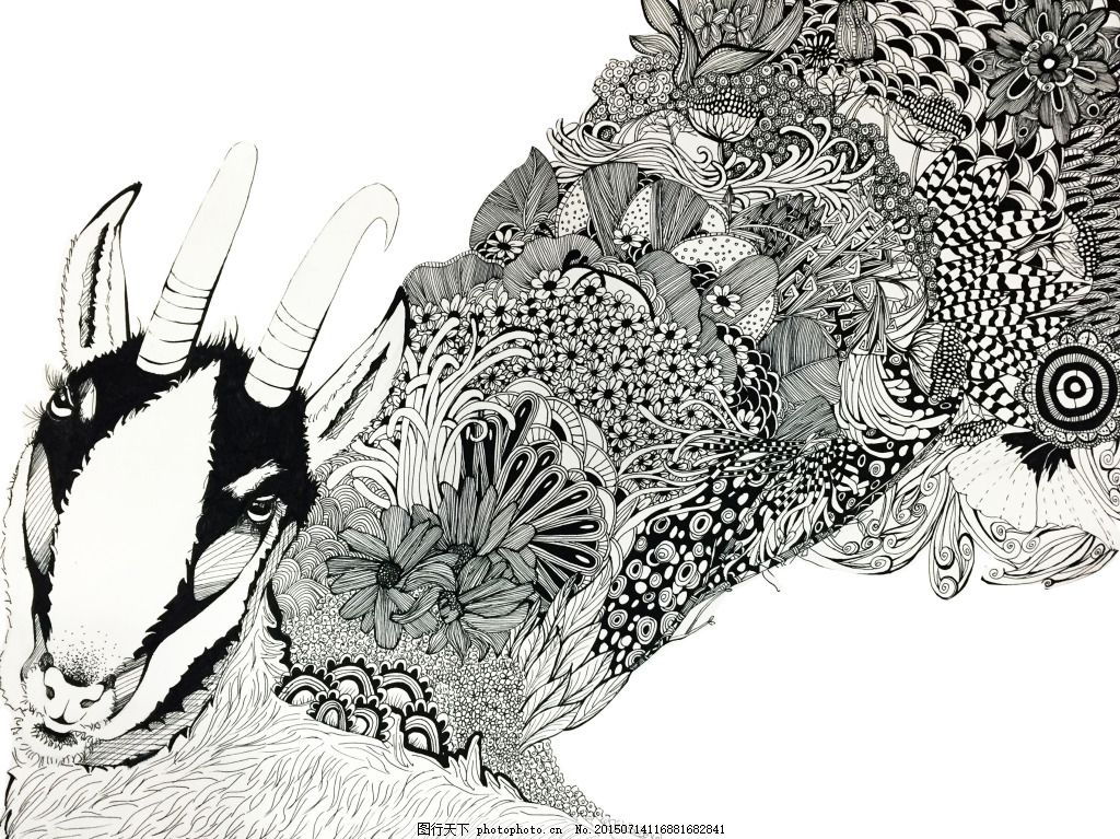 羚羊手绘 黑白 线描 手绘 插画 动物 植物 白色 jpg