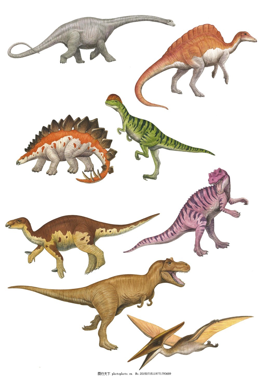 剑角龙_恐龙种类_恐龙品种分类l型名称大全恐龙品类图片大全名字