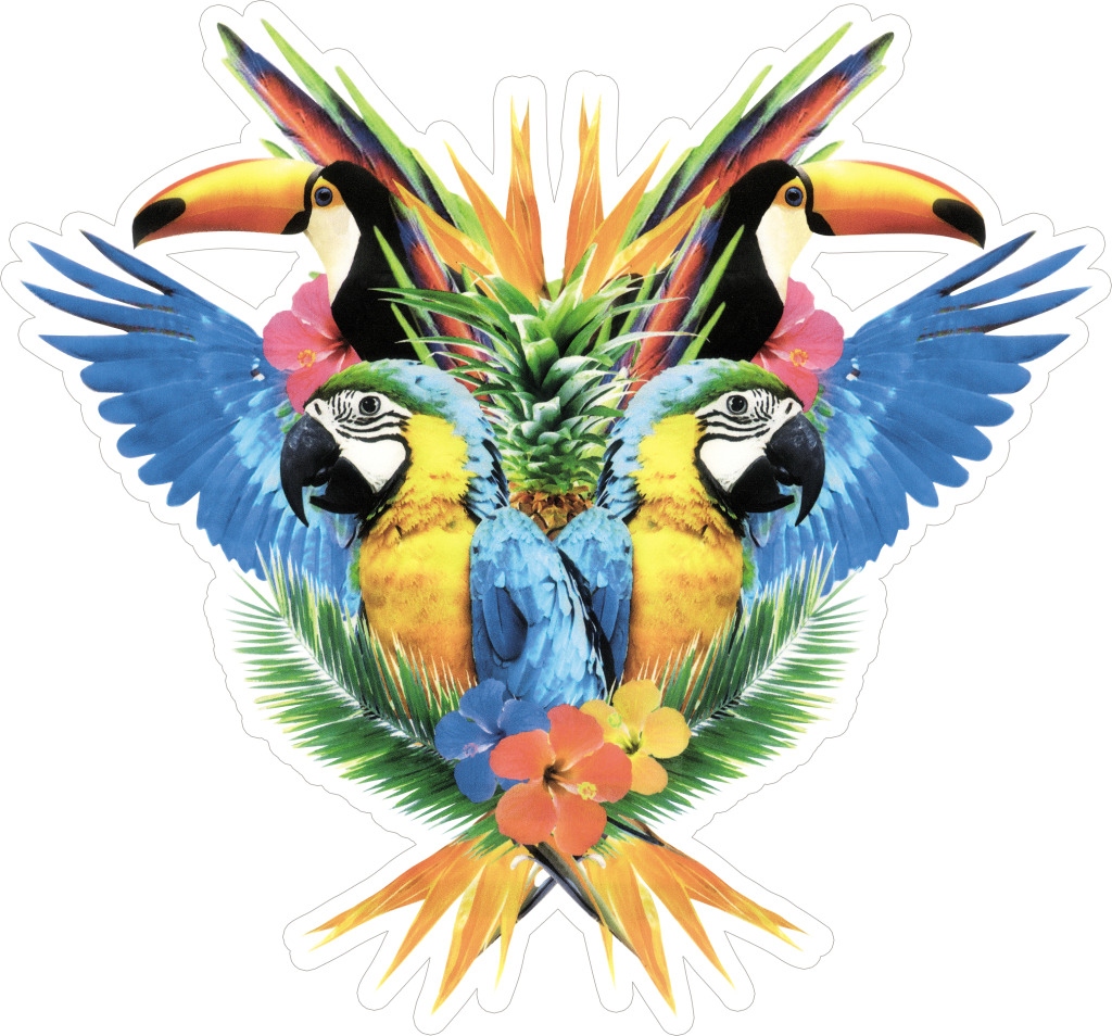 Попугай логотип