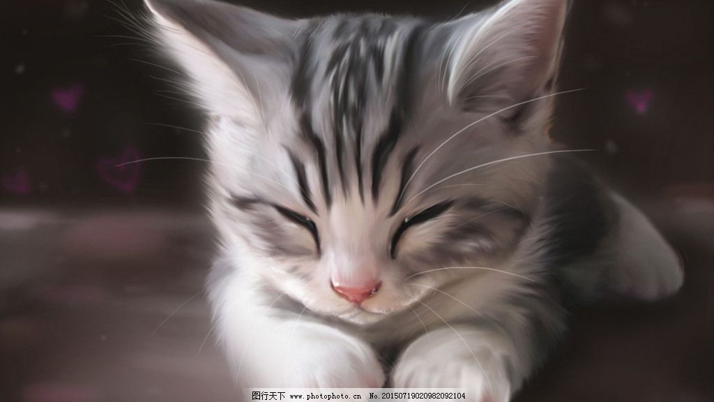 壁纸 动物 猫 猫咪 小猫 桌面 1024_576图片