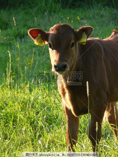 总是梦见被别人追赶,探索梦境背后的深层含义与心理解析 总是梦见被别人追赶,探索梦境背后的深层含义与心理解析