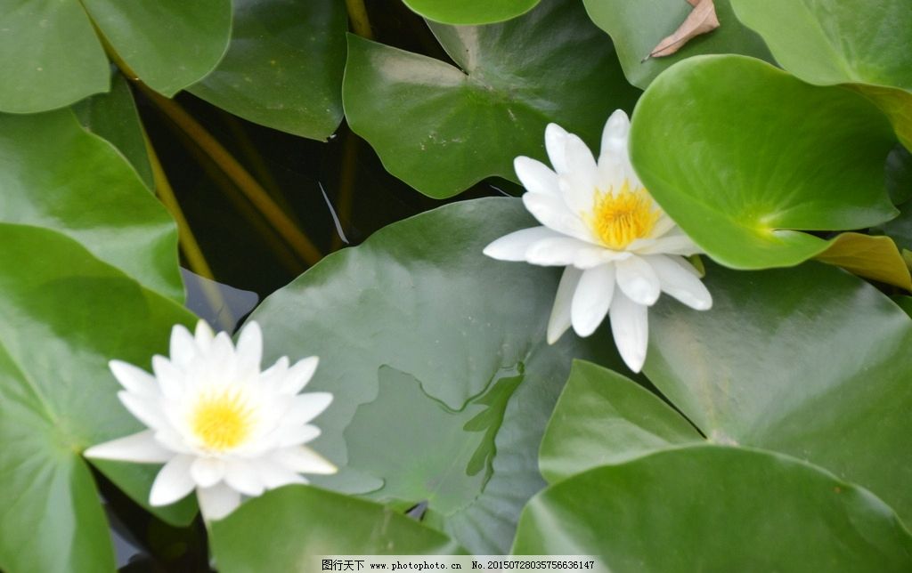 港交所：2025年香港新股商场融资额位居全球榜首