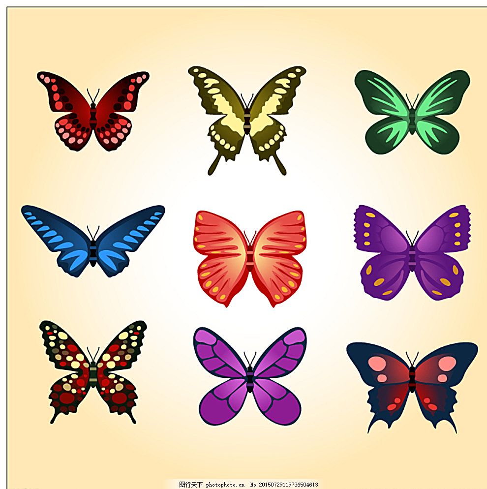 矢量蝴蝶图片,插图 夏天 自然 模板 春天 图形 翅