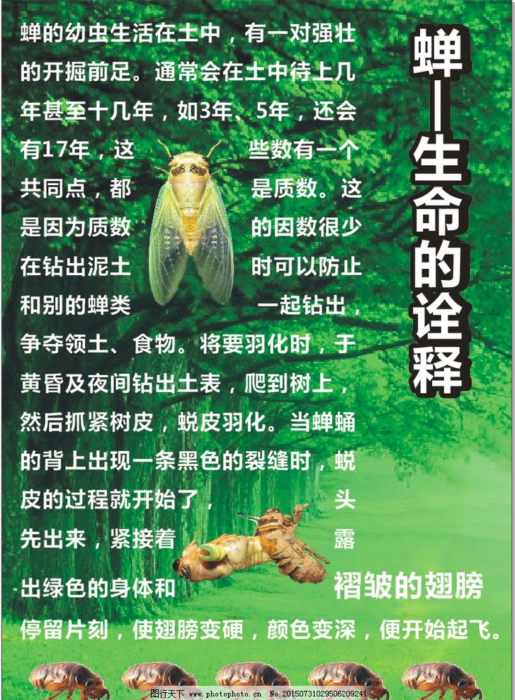 蝉教案网站制作 图行天下