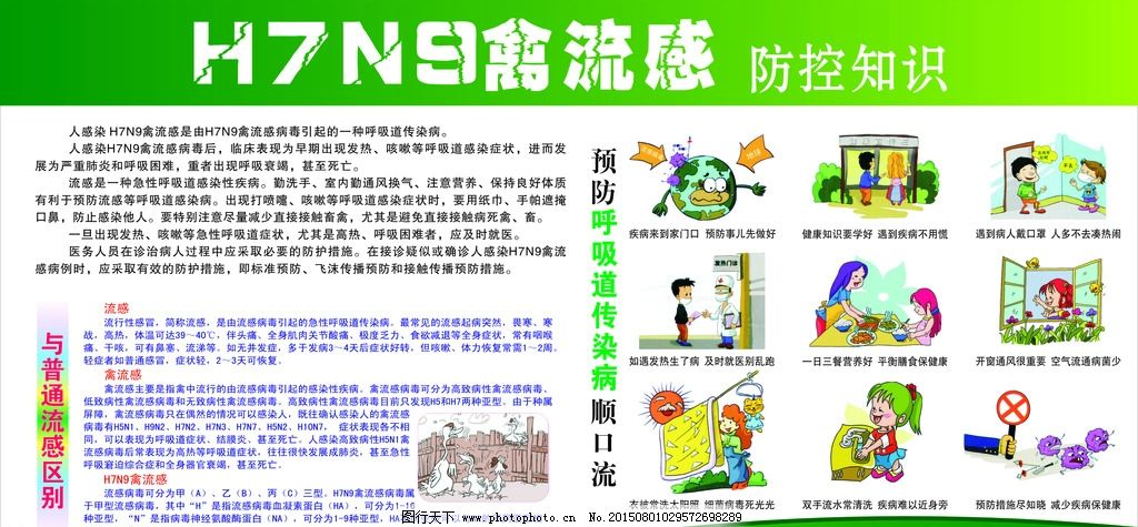 H7N9禽流感防控知识图片,禽流感知识 禽流感宣