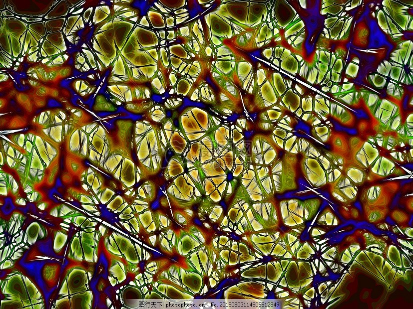 大脑神经元细胞结构图片_教育_商用素材_图行天下图库