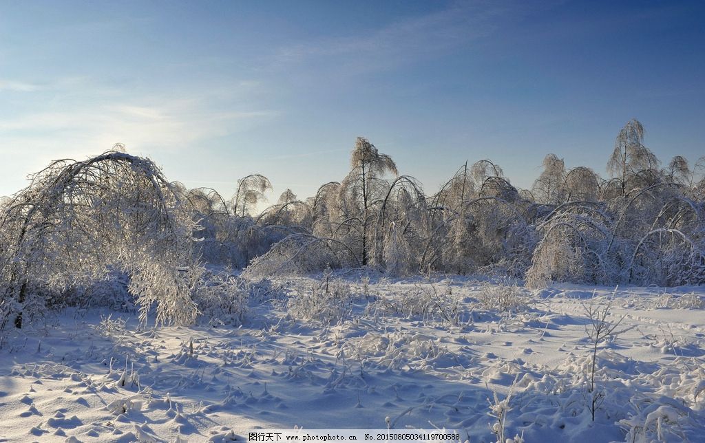 蓝天 白云 夕阳 日出 自然 风景 背景 素材 梦幻 旅游 雪花 雪天 树叶 冬天 树干 树枝 松树 梧桐树 树林 森林 公园 冬季雪景 树木 雪地 冬天雪景 雪景 冬季风景 冬天风景 摄影 旅游摄影 自然风景 72DPI JPG
