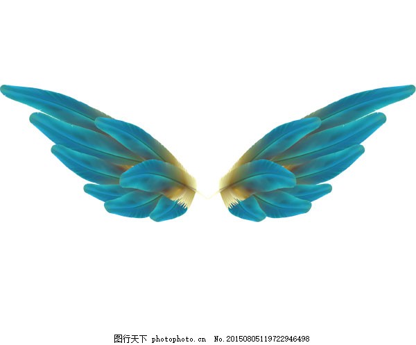 蓝色翅膀,飞翔 自由 鸟 白色-图行天下图库