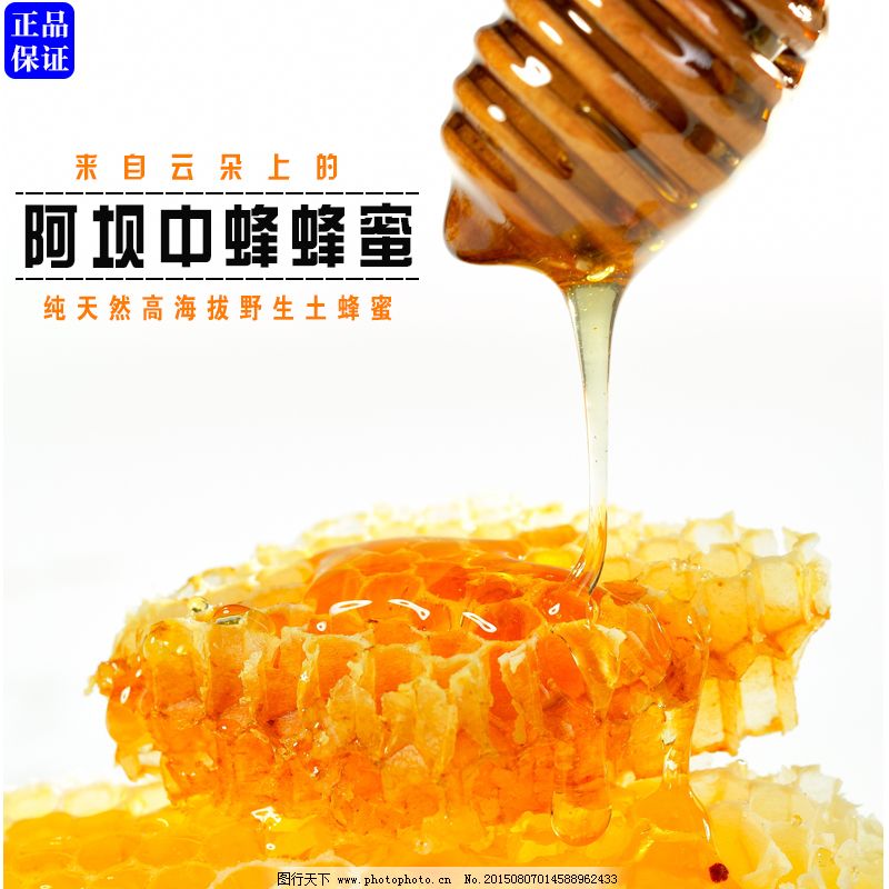 土蜂蜜阿坝中蜂蜂蜜阿里淘宝首图高清,土蜂蜜