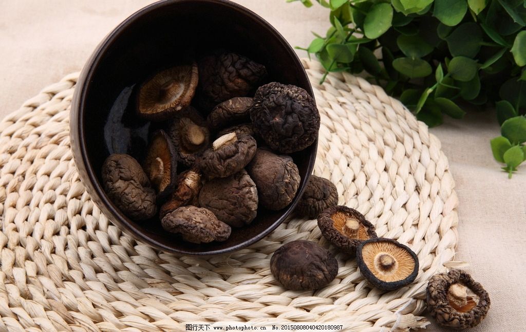 野生小香菇图片