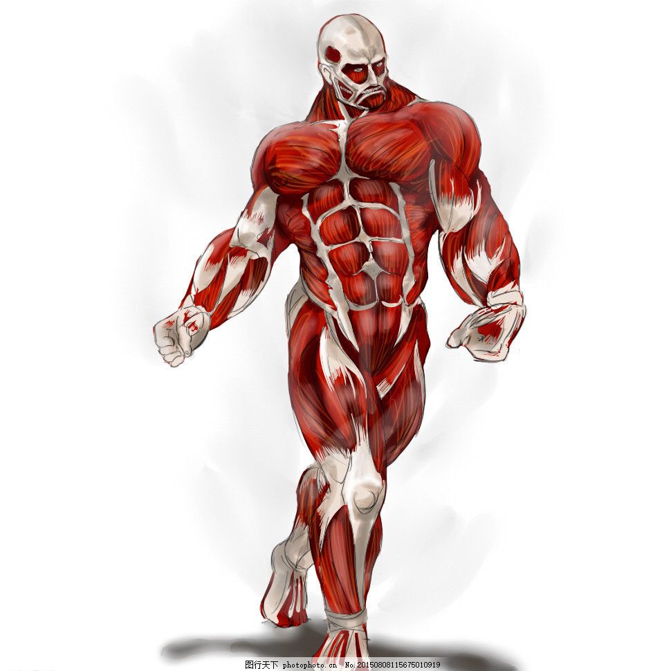 超大型巨人图片