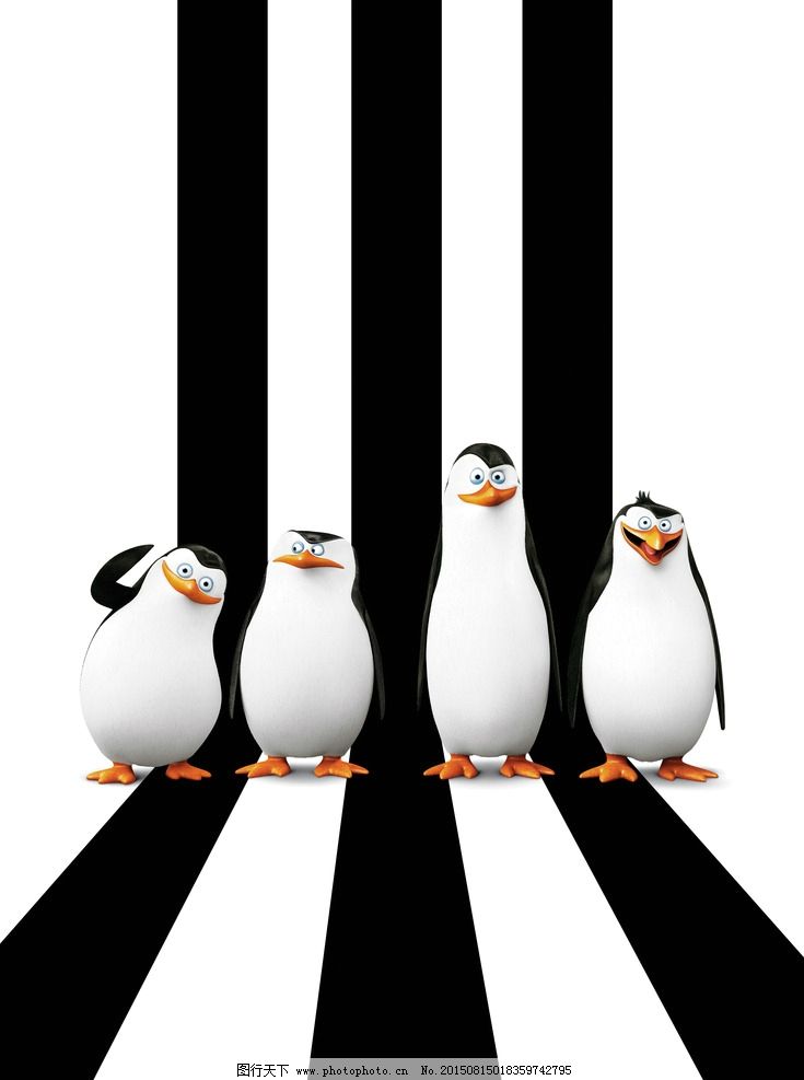 黑白间条马达加斯加的企鹅图片