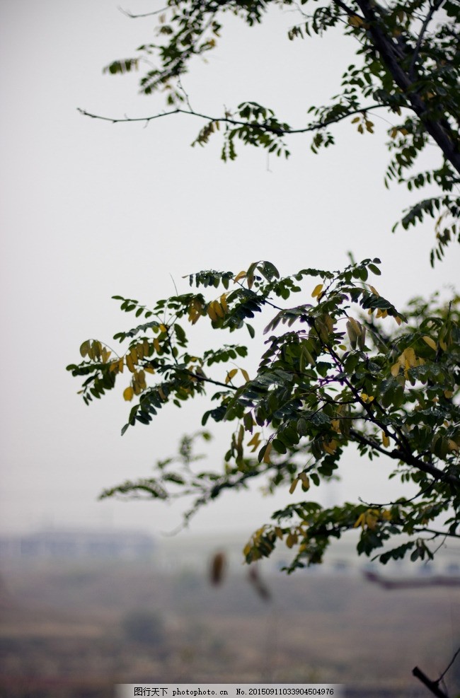 梦境的隐喻,梦见鸡蛋的深层含义解析 梦境的隐喻,梦见鸡蛋的深层含义解析