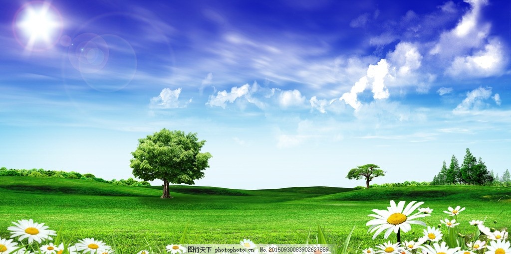 草原 蓝天白云 花草树木 横向背景图 风景