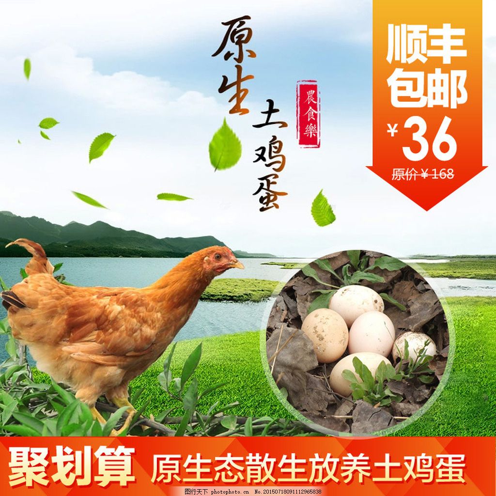 原生百味土特产:上海普陀区哪里买土鸡好，给力-生财副业圈
