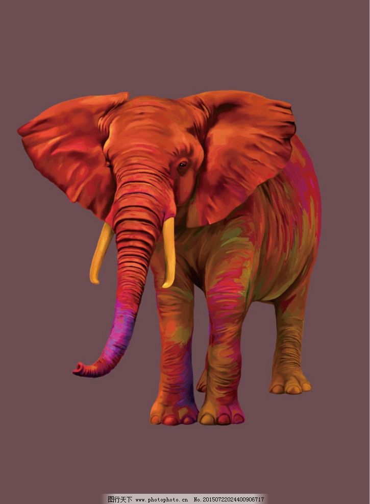 大象与苍蝇 the elephant and the fly