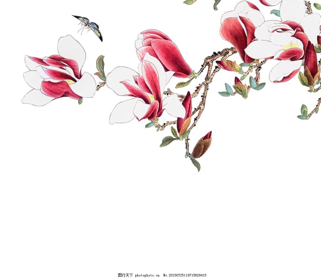 中式玉兰花png元素图片 装饰图案 设计元素 图行天下素材网