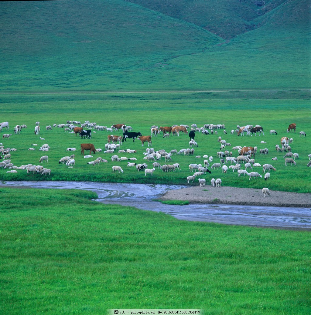 草原上的牛羊风光美景图片壁纸_美丽的草原风景壁纸_三千图片网